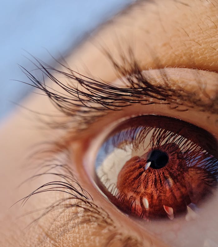 Detailed macro shot of a brown eye with visible reflections, highlighting texture and color.